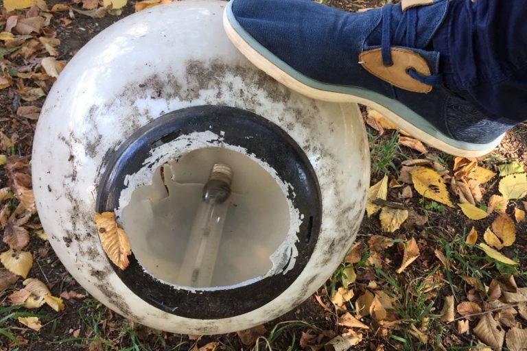 В Твери ищут вандалов, уродующих парк Победы