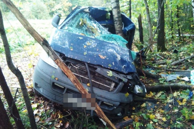 В Тверской области водитель минивэна уснул за рулем и врезался в дерево