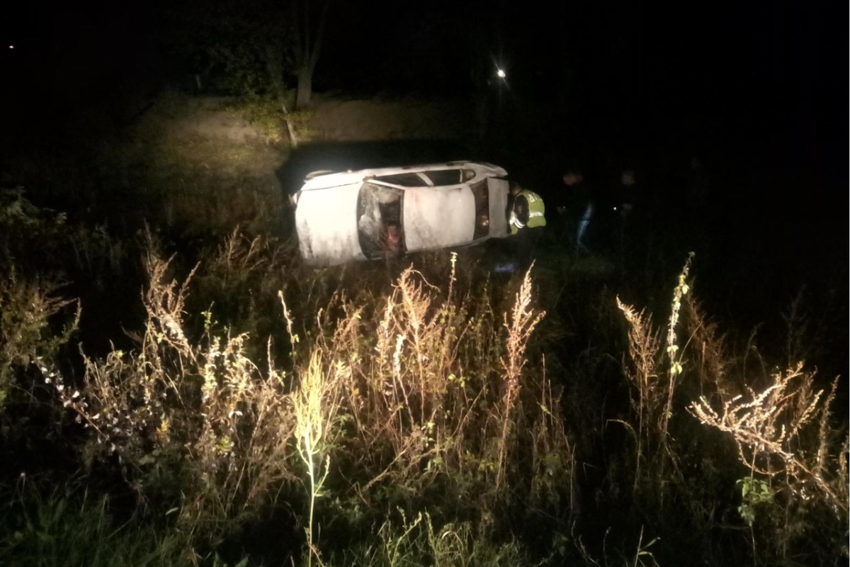 Автоледи вылетела в кювет в Тверской области, её пассажир пострадал