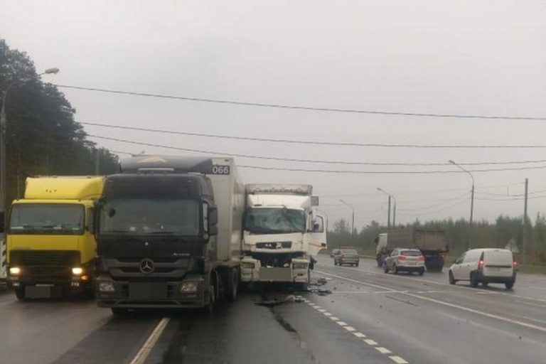 На трассе в Тверской области столкнулись 3 большегруза