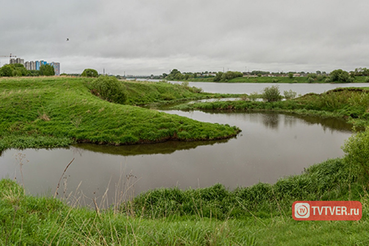 вода в калининском районе. демьяна бедного муринский парк. вода в калининском районе. детский сад 90 калининского района затопило. река межурка тверь.