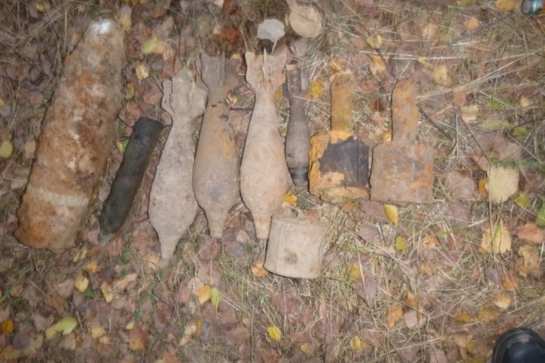 В Тверской области спасатели обезвредили найденные мины, снаряды и гранаты
