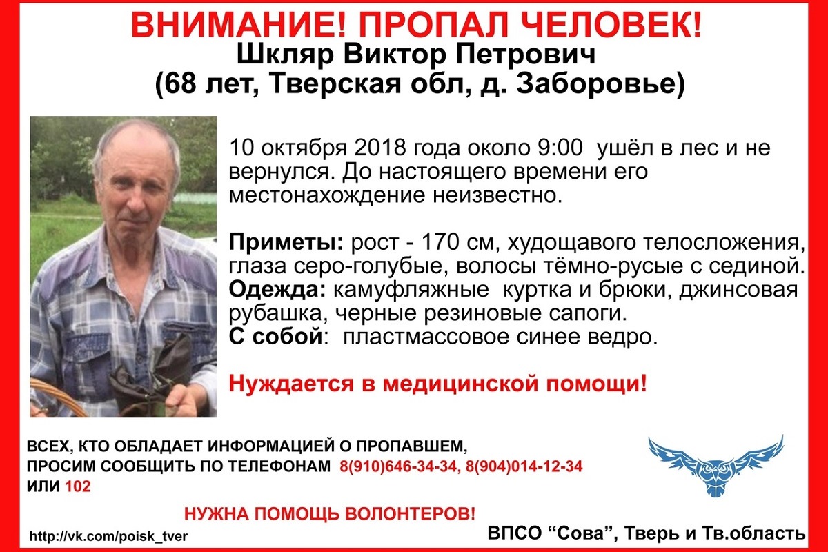 В тверских лесах ищут 68-летнего пенсионера
