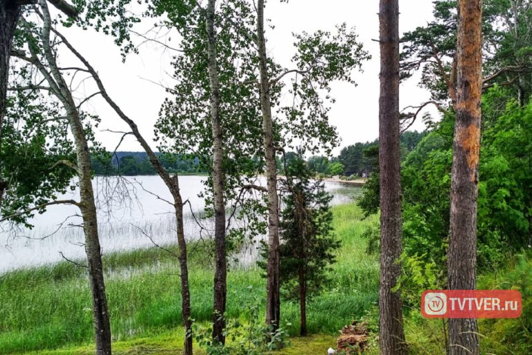 В Осташкове чиновники отдали под застройку берег Селигера