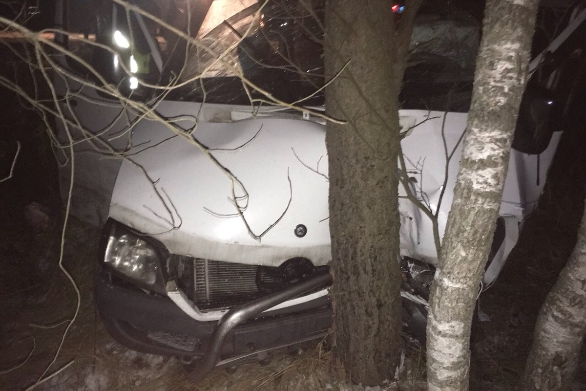 В ДТП с микроавтобусом на трассе в Тверской области пострадали 13 человек