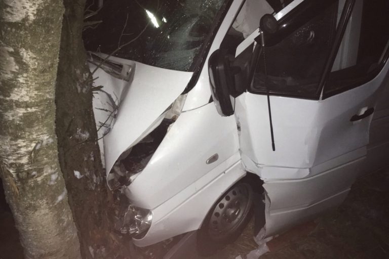 В ДТП с микроавтобусом на трассе в Тверской области пострадали 13 человек