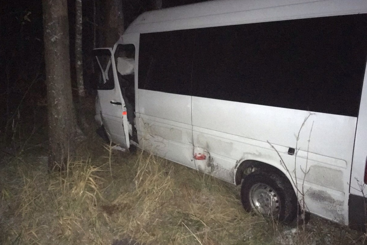 В ДТП с микроавтобусом на трассе в Тверской области пострадали 13 человек