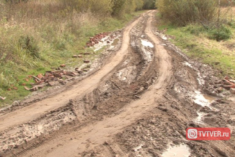 В Тверской области дорога в деревню превратилась в болото
