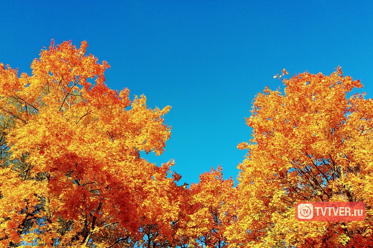 Теплая погода надолго задержится в Тверской области