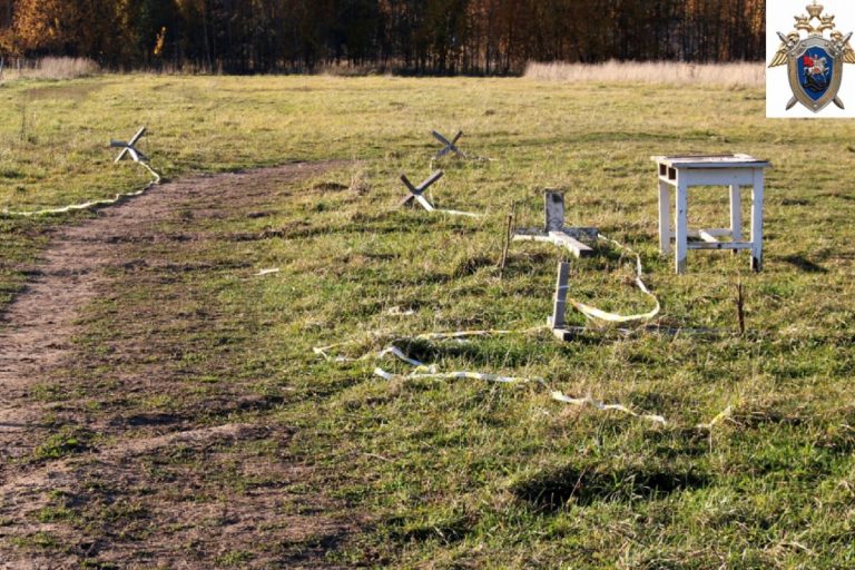 Под Тверью девочка упала с лошади и получила опасные для жизни травмы
