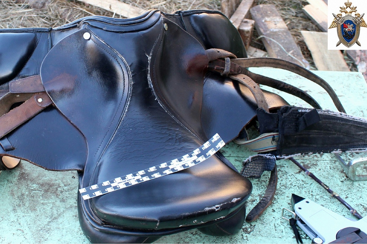 Под Тверью девочка упала с лошади и получила опасные для жизни травмы