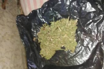 Житель Тверской области хранил в гараже марихуану Житель Тверской области хранил в гараже марихуану