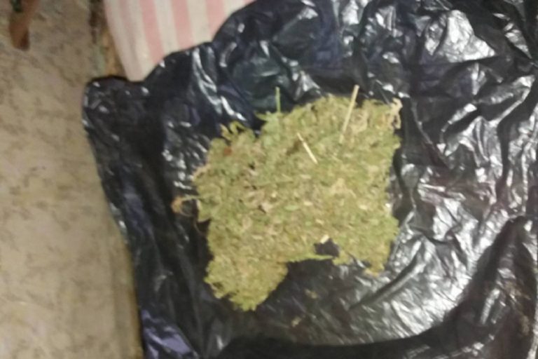 Житель Тверской области хранил в гараже марихуану