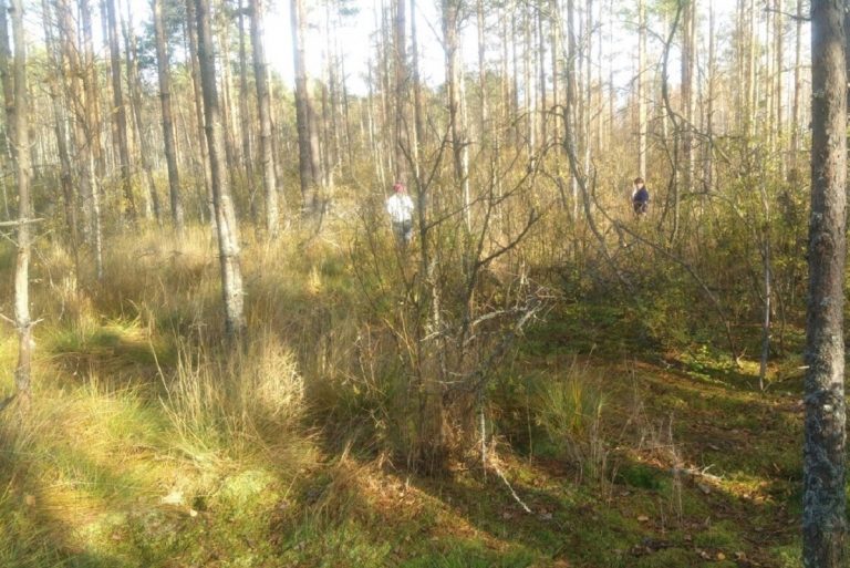 В Тверской области нашли тело пропавшего в сентябре дедушки