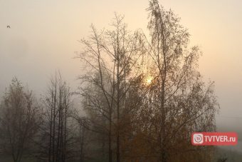 В Тверской области выпадет первый снег