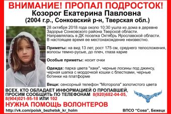 В Тверской области ищут пропавшую девочку-подростка