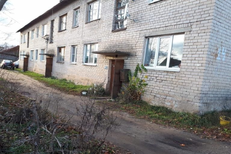 В селе под Тверью неизвестный жестоко расстрелял собак