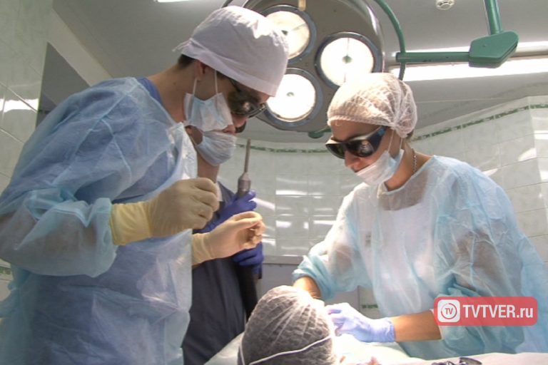 В Твери будущие стоматологи учатся лечить пародонтоз на свиньях