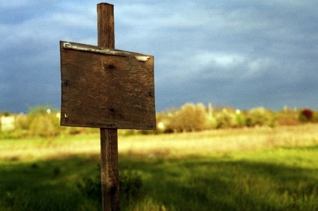 Тверским многодетным семьям выделили землю в болотистом лесу