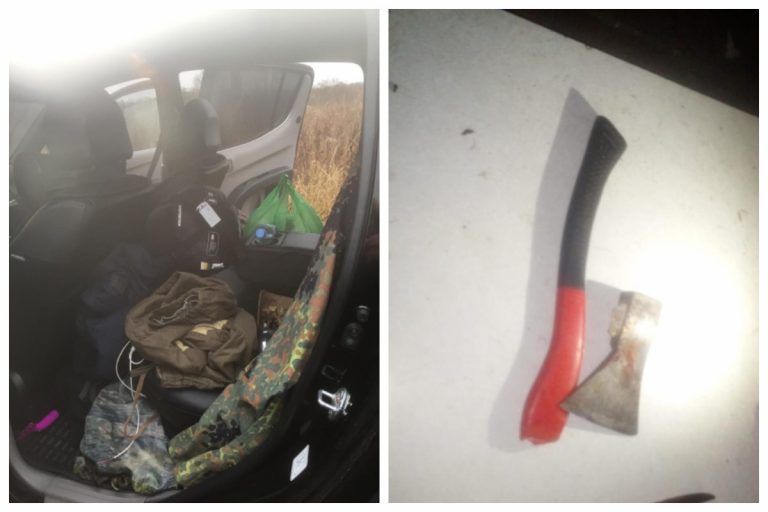 В Тверской области браконьеры застрелили и разделали лося