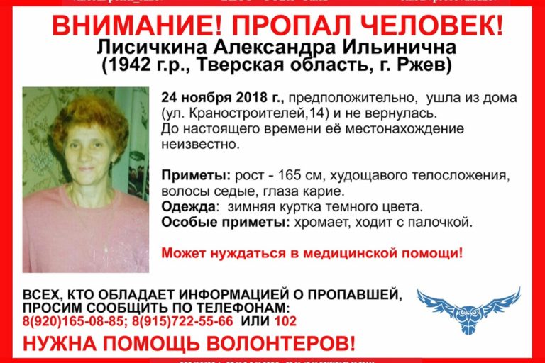 В Тверской области ищут пропавшую 76-летнюю ржевитянку