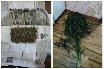 Житель Тверской области хранил дома марихуану и коноплю