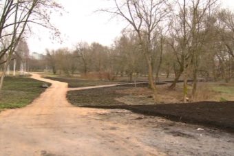 В Твери благоустраивают аллею Славы и пойму Тьмаки В Твери благоустраивают аллею Славы и пойму Тьмаки