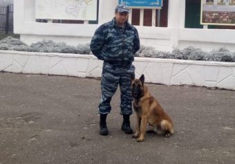 В Твери служебная овчарка Нэсс помогла найти вора