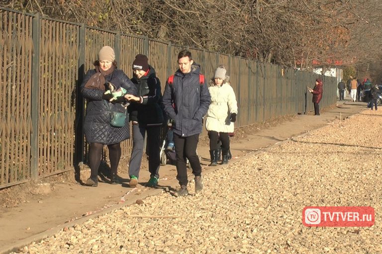 Картина маслом. В Твери на улице имени великого живописца отсутствует тротуар