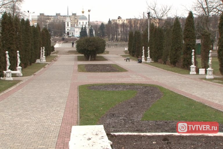 В Твери смонтировали первую новогоднюю ёлку