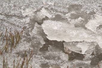 В Тверской области появились первые жертвы выхода на лед В Тверской области появились первые жертвы выхода на лед