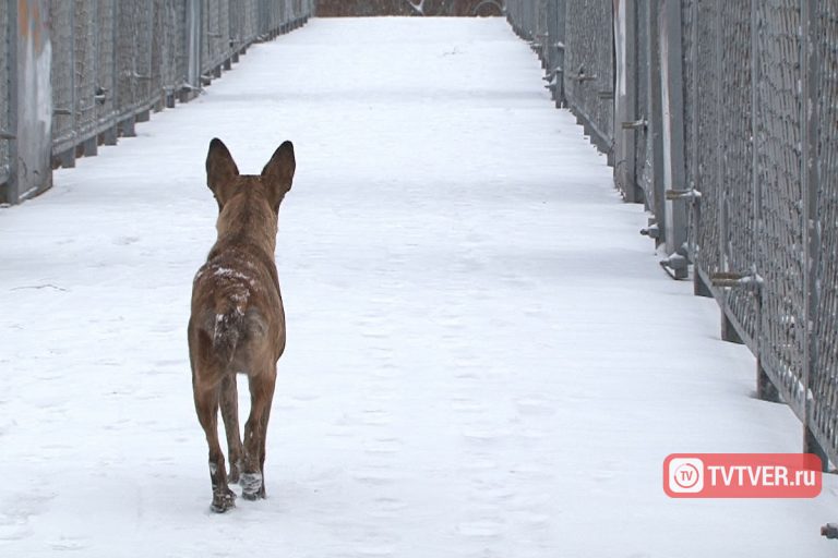 В Твери снесут мост в Пролетарском районе, а построят - у вокзала