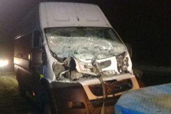 В Тверской области водитель получил травму после столкновения с лосем
