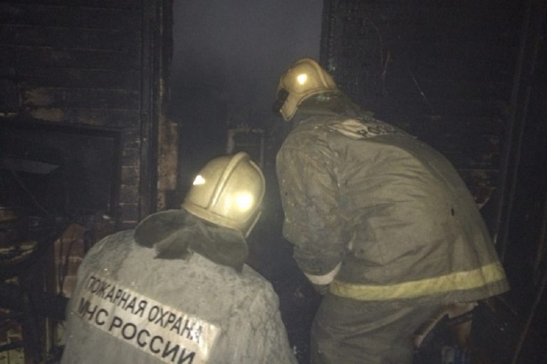 В Тверской области на пожаре погибла 89-летняя женщина