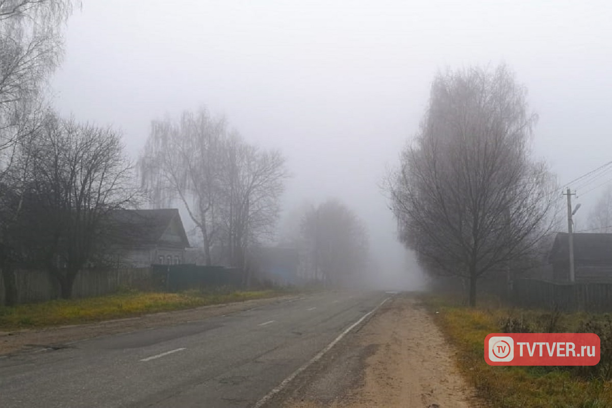МЧС предупреждает водителей Тверской области о сильном тумане