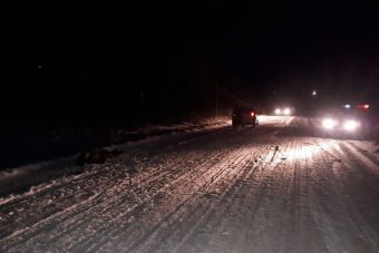 Девушка на ВАЗе не заметила пешехода в Лесном районе