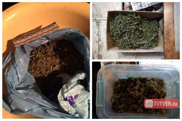 В Тверской области задержали мужчину, хранившего марихуану в мешках и коробках
