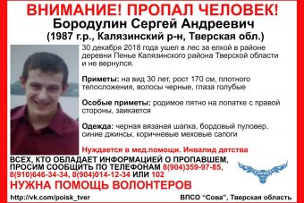 В Тверской области пропал мужчина, который ушел в лес за ёлкой