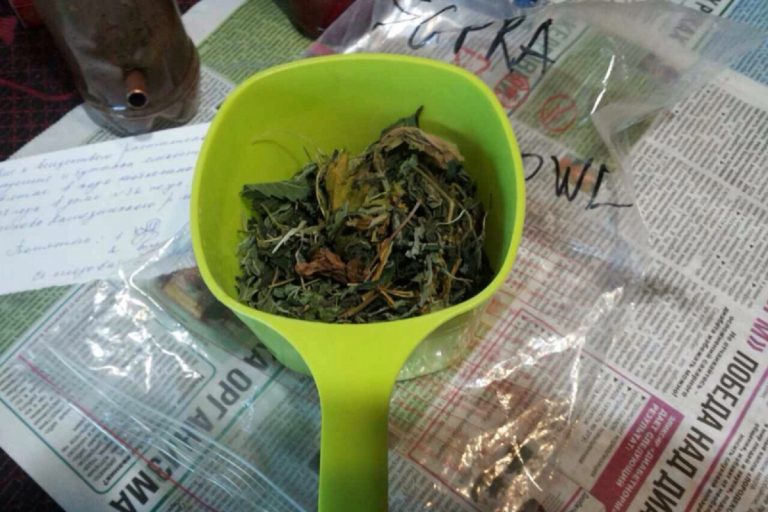 Полицейские нашли марихуану в доме жителя Тверской области