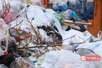 Мы все живём в помойке: двор в центре Твери утопает в мусоре