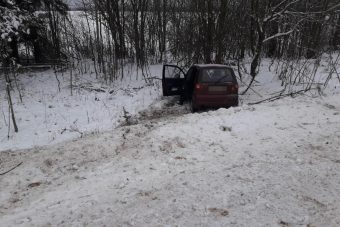 Пенсионерка на Daewoo Matiz врезалась в дерево в Тверской области