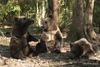 Известный биопитомник в Тверской области лишился финансирования