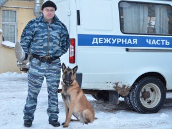 В Твери служебная овчарка Нэсс в очередной раз помогла найти вора В Твери служебная овчарка Нэсс в очередной раз помогла найти вора