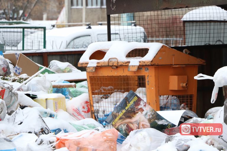 Мы все живём в помойке: двор в центре Твери утопает в мусоре