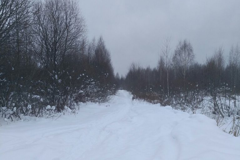 Бригаде скорой в Тверской области пришлось идти по заснеженному полю к телу самоубийцы