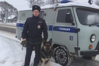 Полицейская собака Хан за считанные минуты нашла вора-рецидивиста Полицейская собака Хан за считанные минуты нашла вора-рецидивиста