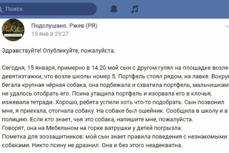 В Тверской области собака изгрызла портфель школьника