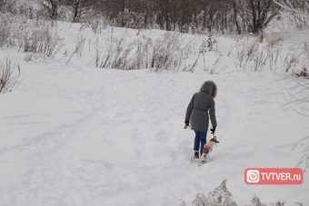 Остановись, мгновение: заснеженный быт Твери
