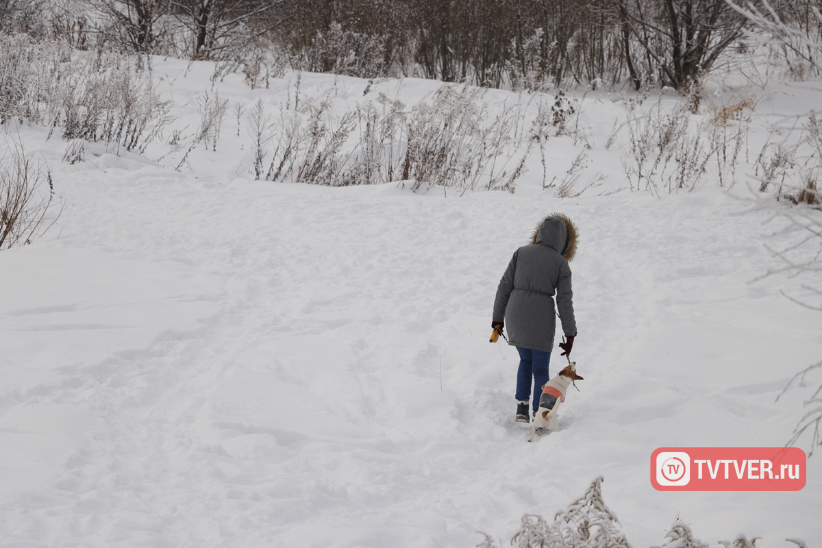 Жителям Тверской области рассказали, как обезопасить себя на улице в сильные морозы