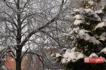 Остановись, мгновение: заснеженный быт Твери